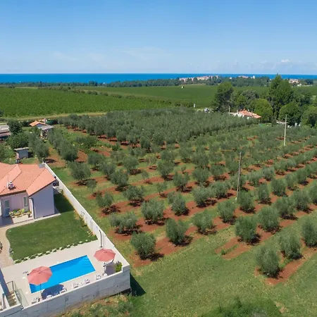 In Novigrad With Private Pool Holiday home Karpinjan